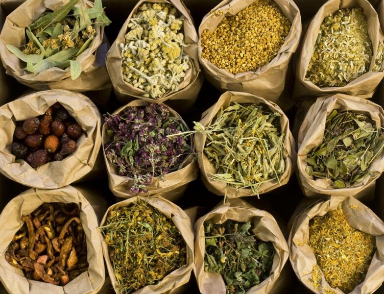 PLANTAS MEDICINAIS, INFUSÕES E CHÁS