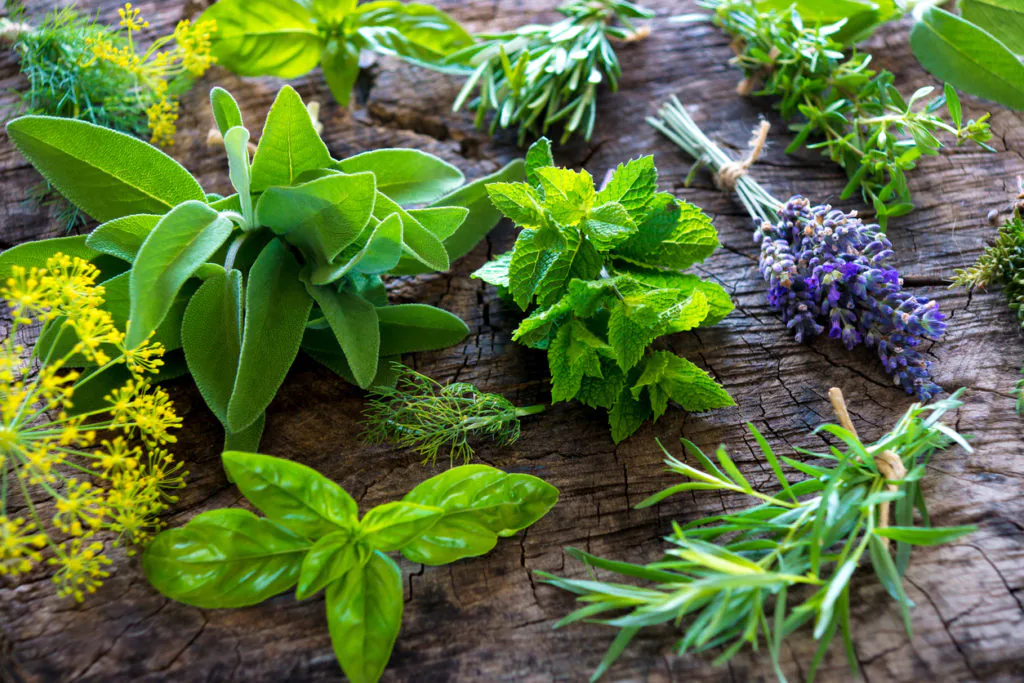 iStock-504069254-1024x683.webp